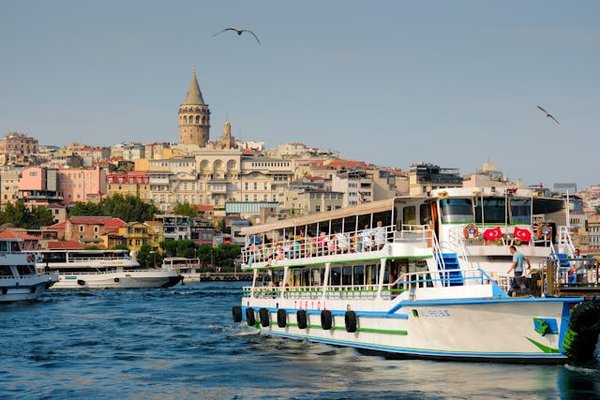 Quelle croisière propose des excursions pour découvrir les réserves naturelles en Patagonie?