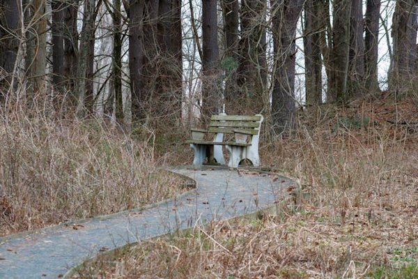 Comment organiser une randonnée sur le chemin de l'Or des Incas au Pérou : itinéraires et préparations ?